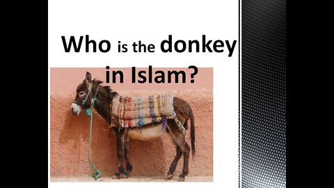 Allah calls them donkeys?