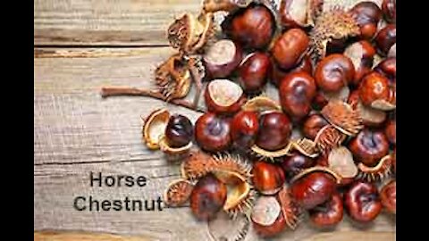 PFTTOT Part 163 Benefits of Horse Chestnut