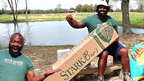 Planting A Fruit Orchard Stark Bros