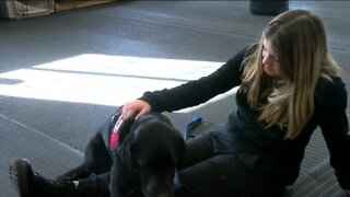 Dogs in Vests, the organization training service dogs for children with autism