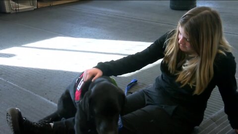 Dogs in Vests, the organization training service dogs for children with autism