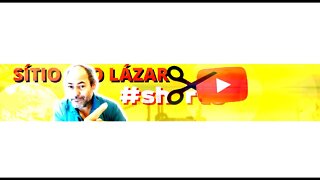 LIVE DO SÍTIO SÃO LÁZARO