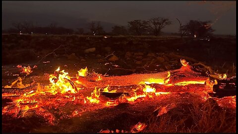 Maui Fires Death Toll Rises To 96, Becoming Deadliest Wildfire In Modern U.S. History