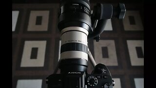Kenko Pro 300 3x with Tamron 150 - 600 G2 on Sony A7r3