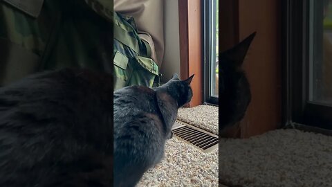 KITTY TV TIME - Ep.2