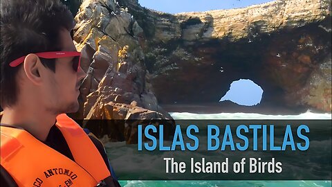 The Island of Birds: Islas Ballestas, Paracas, Peru