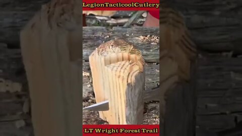 LT Wright!!! Forest Trail Knife! #ltwright #edc #knives #bushcraft #outdoors