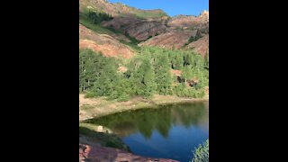 3 moose and spectacular views at Lake Blanche!