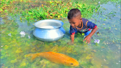 A little boy gets some fish for free