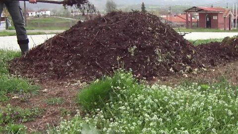 The 8th Overturning of the Compost into a pile (F1)