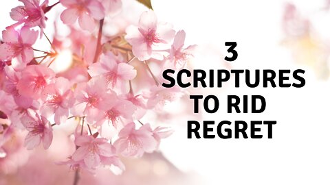 3 Bible Scriptures To Rid Regret
