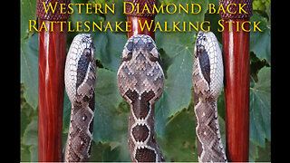 WOOD CARVED WESTERN DIAMONDBACK RATTLESNAKE WALKING STICK #53