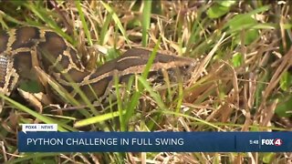 Florida awaits Python Challenge 2023