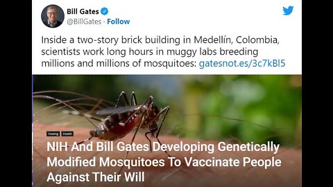 NIH And Bill Gates Developing Genetically Modified Mosquitoes To Vaccinate People Against Their Will