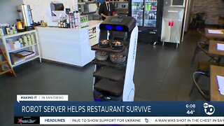 Robot server helps restaurant survive