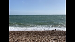 Brighton Beach Uk