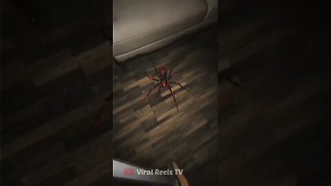 Viral Reel #181 😳Horrifying Moment | Terrifying Spider Attack | Anachnophobia🕷🕷 #shorts