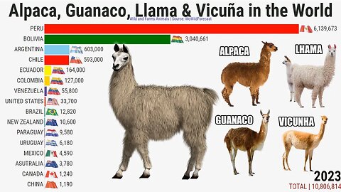 Os Países com Maior Nº de Alpacas, Guanacos, Lhamas e Vicunhas do Mundo
