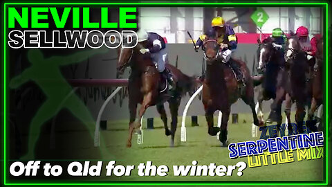 2024 Neville Sellwood Stakes| Serpentine, Little Mix, Hezashocka, Zeyrek