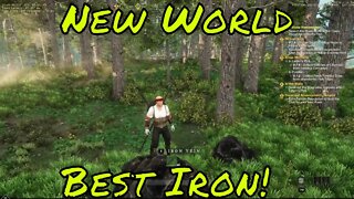 New World Best Iron Location