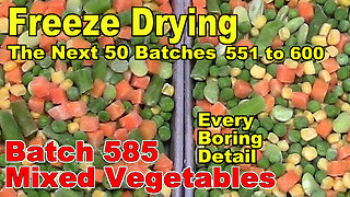 Freeze Drying - The Next 50 Batches - Batch 585, Mixed Vegetables - Every Little Detail