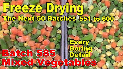 Freeze Drying - The Next 50 Batches - Batch 585, Mixed Vegetables - Every Little Detail