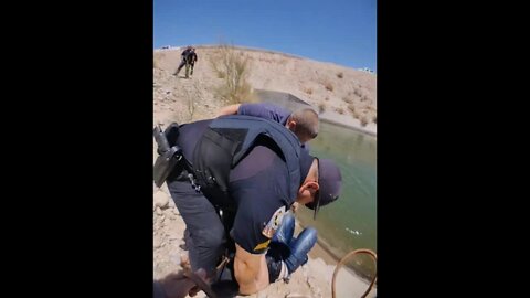 YCSO, Wellton Police rescue woman, dog from canal