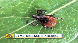 Doctors predict Lyme Disease epidemic; Tampa Bay possible hotbed of debilitating tick-born disease