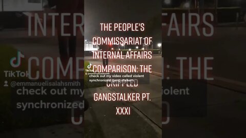 Gang-stalking in Action : The TikTok Edition on YouTube : The Crippled Gangstalker Pt. XXXI