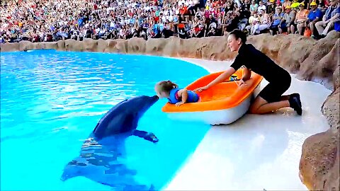 Dolphin kisses a little girl and brings her a gift