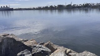 Long Beach harbor