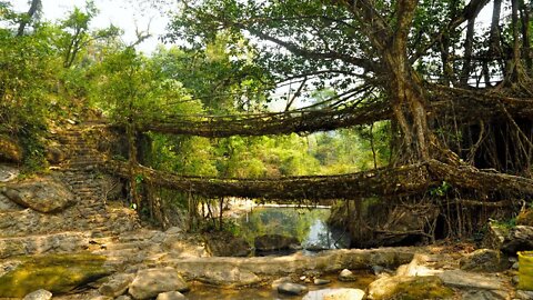 Beautiful Instrumental Hymns (Indian Style)