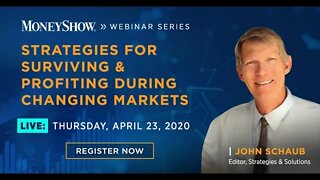 Strategies for Surviving & Profiting During Changing Markets | John Schaub