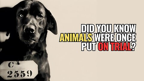 Did You Know Animals Were Once Put on Trial?