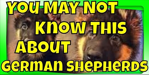 German Shepherds | German Shepherd Traits #dog #dogs #doglover #animals