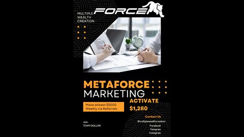 META FORCE the golden goose 🦆 of Financial Freedom 👊