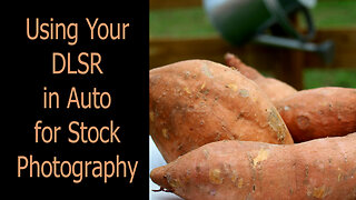 Using a DSLR Camera in Auto for Stock Photography.