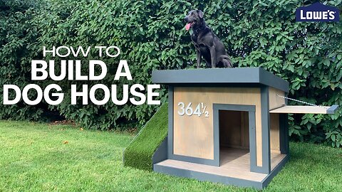 How to DIY build a dog house