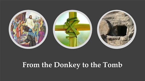 From the Donkey to the Tomb