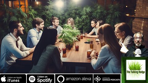 Speed Dating for Cannabis Businesses at Interchange