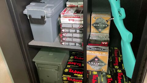 Gun Safe Update 2, Sentinel 18 Gun Cabinet review.