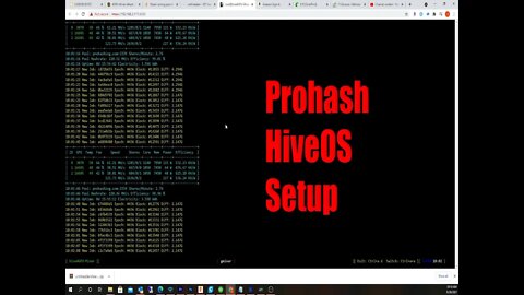 Prohashing HiveOS Setup Tutorial For Mining Proof Of Stake Altcoins