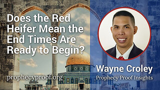 Does the Red Heifer Mean the End Times Are Ready to Begin?