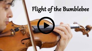 Flight of the Bumblebee