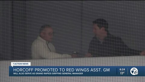 Red Wings promote Shawn Horcoff to assistant GM