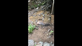 Trash found in creek