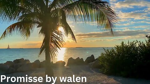 Promisse by walen | Instrumental Tropical Free Catchy Travel Vlog | copyright free music