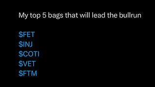 5 bags that will lead the bull run