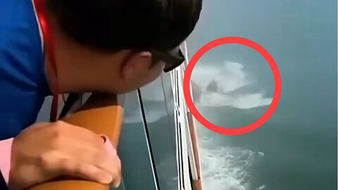 DISTURBING FOOTAGE FROM THE OPEN OCEAN ⚠️