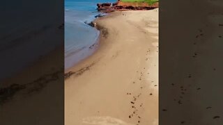 Landing Drone on the Beach